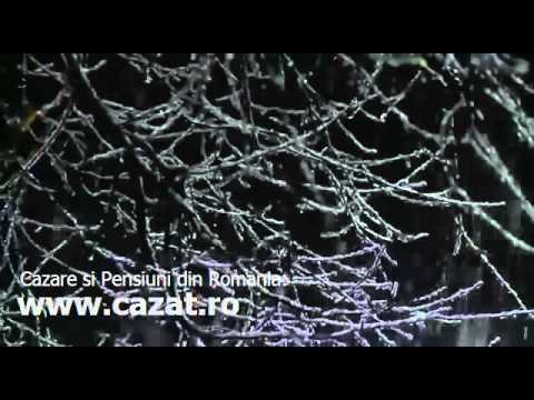 Cazare Faraoani, Bacau - Cazat.ro