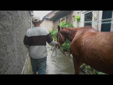 Mempertahankan Kenangan Yang Hampir Hilang