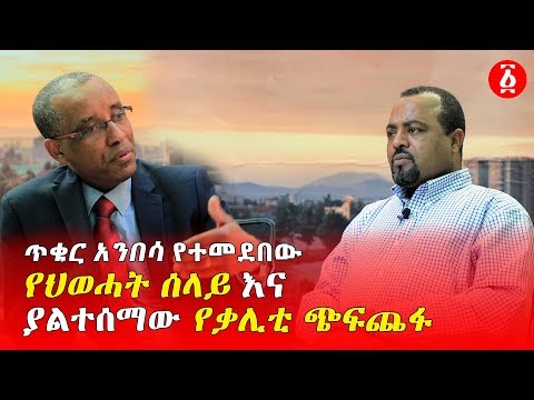 ጥቁር አንበሳ የተመደበው የህወሓት ሰላይ እና ያልተሰማው የቃሊቲ ጭፍጨፋ | አቶ ያሬድ ኋ/ማሪያም | [ነፃ ውይይት] | Ethiopia