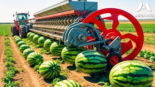 45 Expensive Agricultural Machines Working at Another Level | Most Powerful Farm Equipment ▶ 1