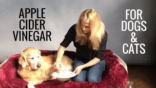Apple Cider Vinegar for Dogs and Cats -  Fleas, Allergies, Bladder Infections - Earth Clinic