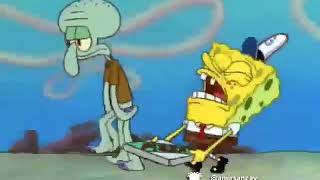 Download lagu Spongebob nak balek dusun mp3