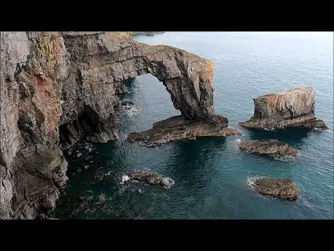 Tyfid maban, ni thyf ei gadahan