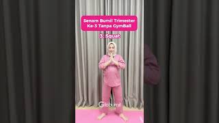 Download lagu Senam Ibu Hamil Trimester 3 Tanpa Gymball - Medikacare mp3