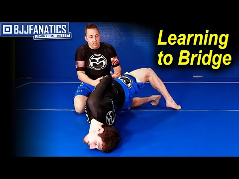 Learning To Bridge by Todd Margolis