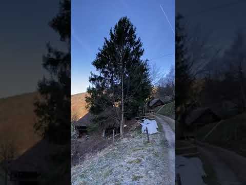 Schwarzwaldhaus 1902