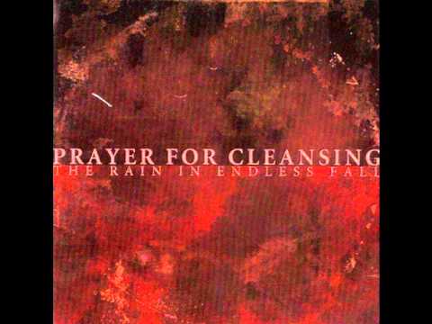 Prayer for Cleansing - A Dozen Black Roses