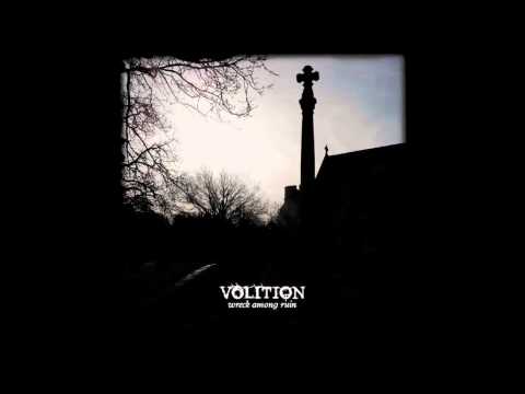 Volition - A Wreck Among Ruins