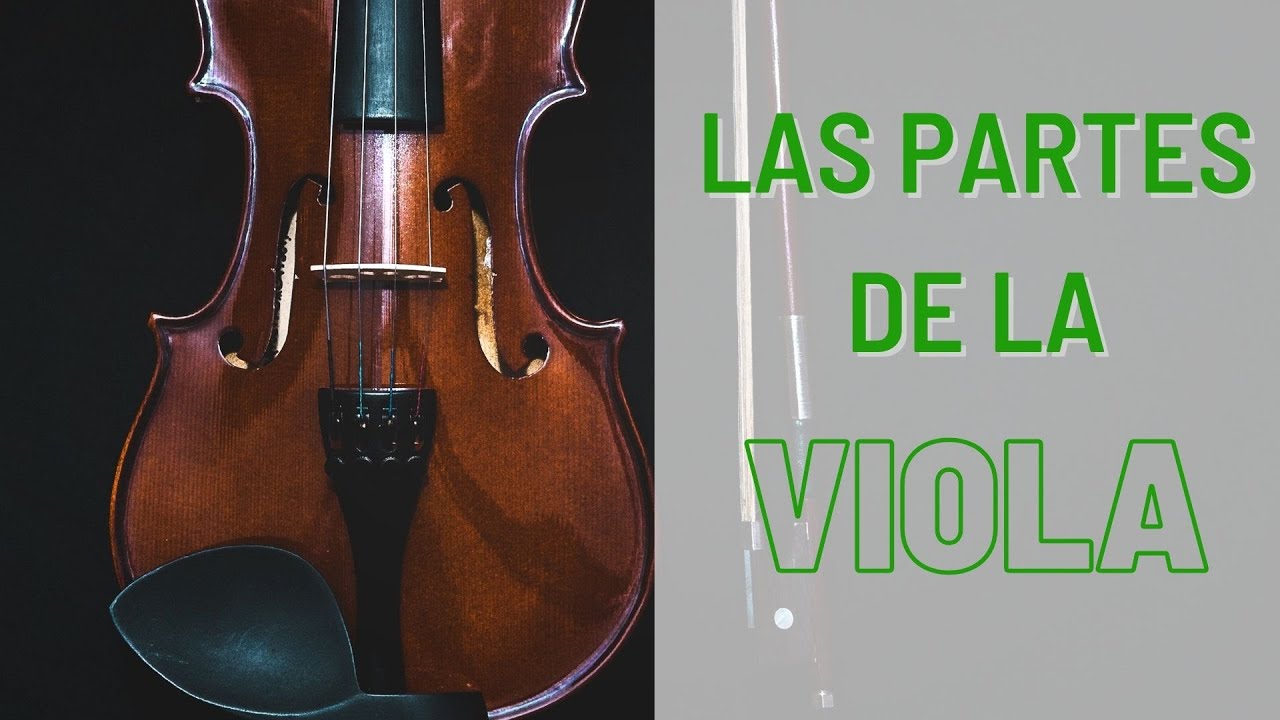 INTRODUCCIÓN A LA VIOLA - PARTES DE LA VIOLA