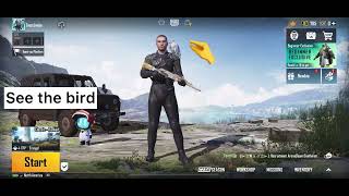 How to add and remove companion (bird) on a shoulder of a player in pubgmobile | How to remove bird