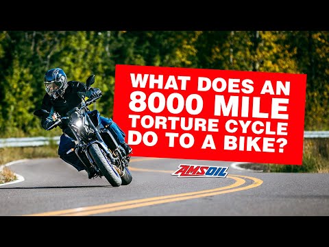 What Does an 8K Mile Torture Cycle Do to Bike?