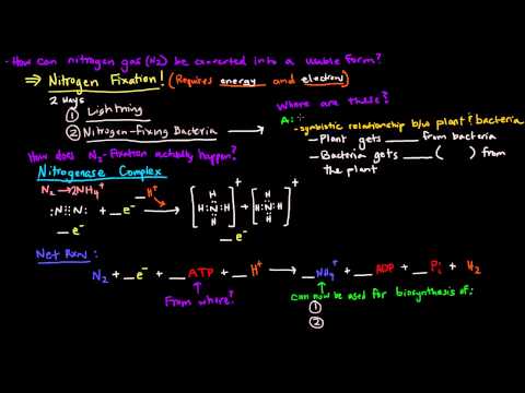 Nitrogen Metabolism (Part 1 of 2) - Introduction and Nitrogen Fixation