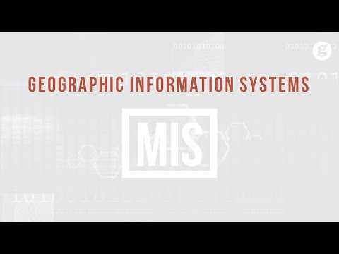 Information Systems in Life