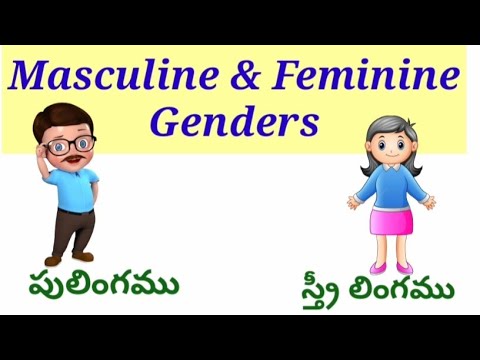 gender /Masculine & feminine in Telugu/ male and female in Telugu gender of humans in English.