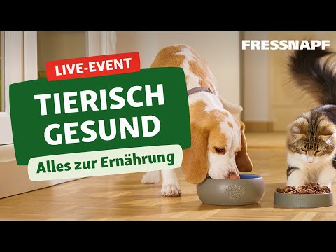 Live Event: Tierisch gesund – Alles zur Ernährung