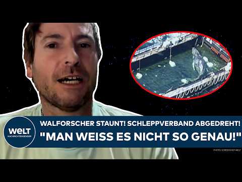 Video Thumbnail: TIMMY: Walforscher warnt jetzt! "Das kann leider dazu führen, dass er in so eine Art Schock kommt!"