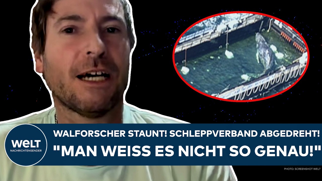 TIMMY: Walforscher warnt jetzt! "Das kann leider dazu führen, dass er in so eine Art Schock kommt!"