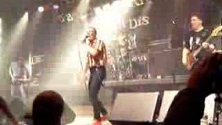 The ruts - Human Punk