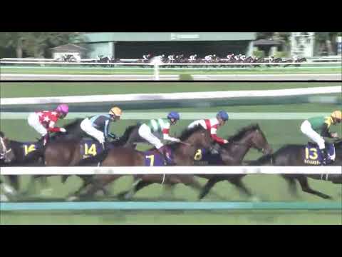 分享21/04/18 日本二千堅尼2000米 (皐月賞) 樂透心 Efforia  橫山武史