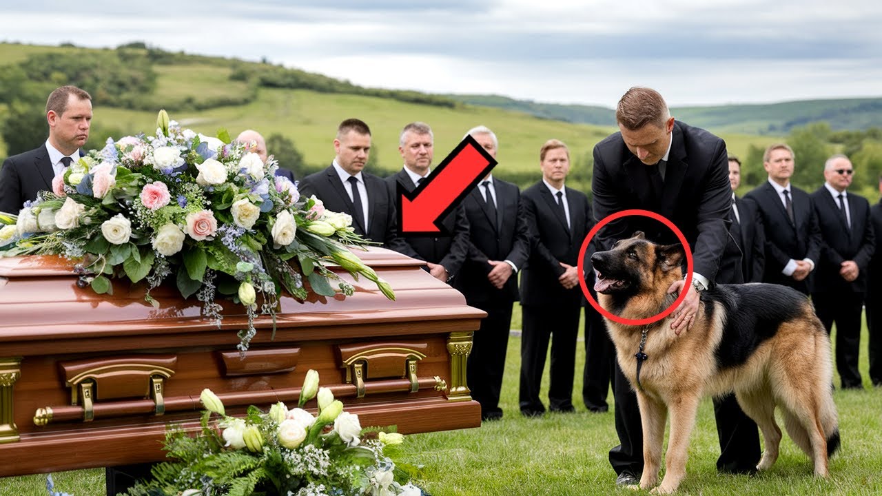 They Opened a Coffin Because of a Dog's Bark - What They Found Inside Will Shock You!