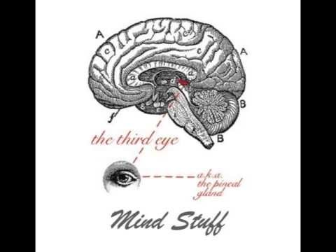 D'fish - Chlorine free feat Raashan Ahmad