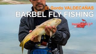 Barbel fly fishing - El Gordo VALDECAÑAS