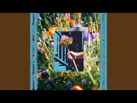 Gil Scott Albatross - Rosie Tucker
