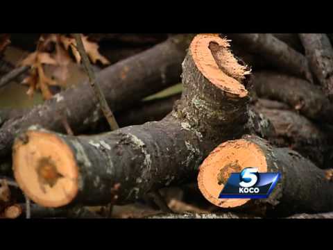 What you need to know about ice storm cleanup in several metro cities