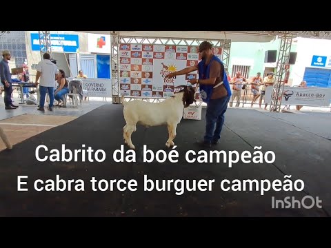 Amparo cabra fes Paraíba 👍🤝🤣