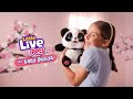 LITTLE LIVE PETS I My Baby Panda TVC I 15