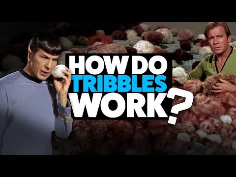 How do Tribbles Work? (Star Trek Theory)