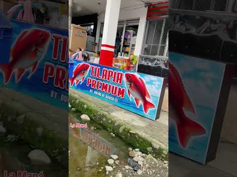 La Maná 📍 fabricamos letreros, rótulos luminosos y más📲 Cotiza ahora: 0980443115 #LaManáCotopaxi 🇪🇨