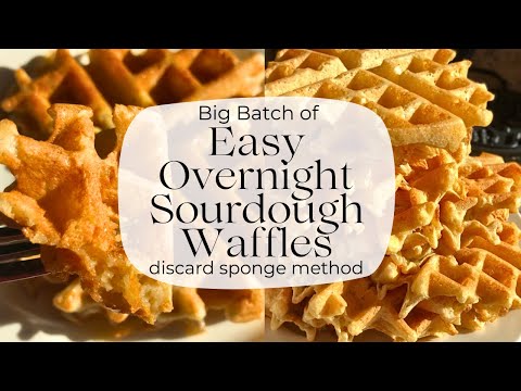 How to make Easy Overnight Sourdough Waffles with a discard sponge (Big Batch, vegan friendly)