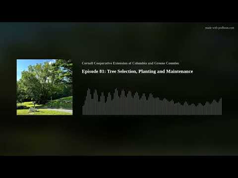 Episode 81:  Tree Selection, Planting and Maintenance