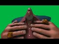 Green Screen Do I Amuse You