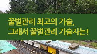 꿀벌관리 최고의 기술은, 꿀벌관리 기술자에 대해 생각해 봅니다.