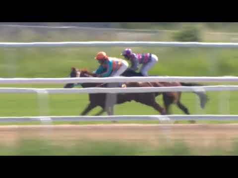 2019.06.16 Jockeyklubbens 2000 Guineas (Swedish 2000 Guineas) - Arabianranta