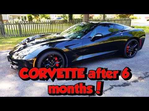 C7 Corvette after 6 months - Pros and Cons