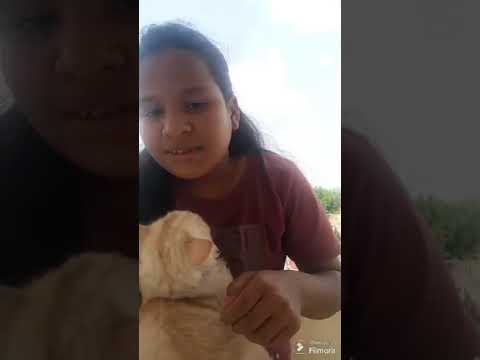 mere  first vlog. pls 🙏  sub❤️(2)