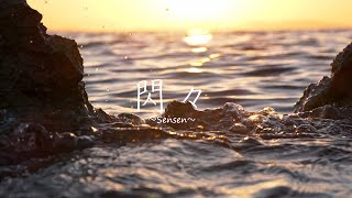- 閃々 / 裏命