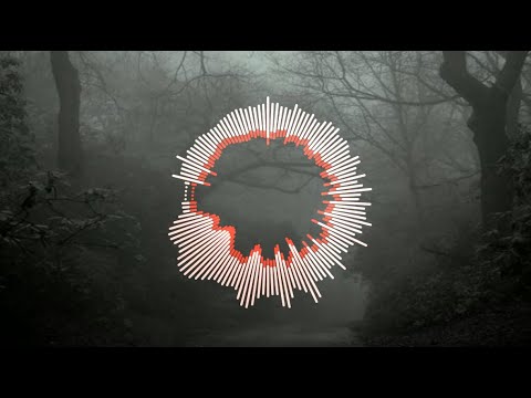 video frame placeholder