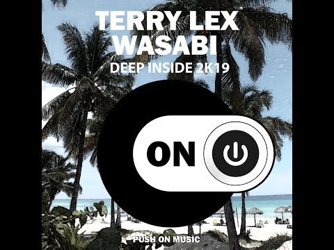 Terry Lex & Wasabi - Deep Inside 2K19 (Original Mix)