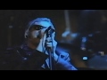 Alice In Chains Would Singles Pro Shot
