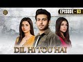 Dil Hi Tou Hai Episode 63 Ali Ansari Zoya Nasir Top Pakistani Drama