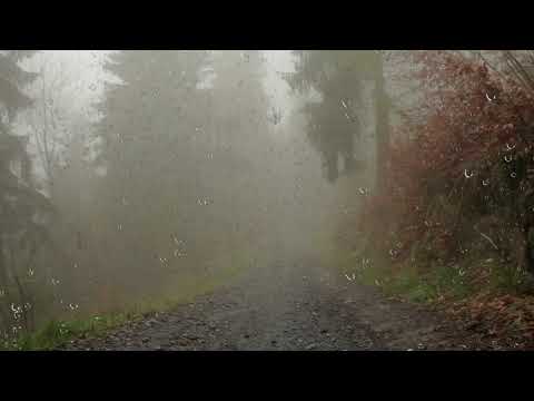 SILENT HILL 2 soundtrack - White Noiz