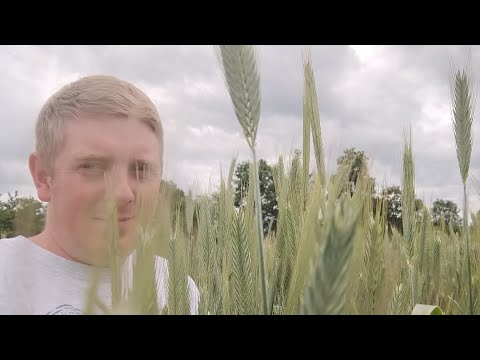 The Best Soil Fertilizer? Rye and Mehlich Soil Analysis 3