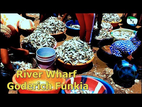 Talk To The Camera - Concerns From River Wharf, Goderich Funkia Community - Sierra Leone