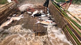 ລີ່ດັກປາໃນລາວໃຕ້//ลี่ดักปลาในลาวใต้  Dong Una