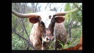 PETRA -- HALLOWED BE THY NAME -- WILLIAM LOCKMILLER PHOTOGRAPHY