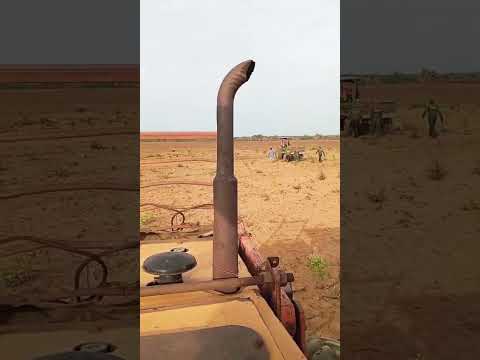 CATAÇÃO DE RAÍZES - REGENERAÇÃO - PIAUI